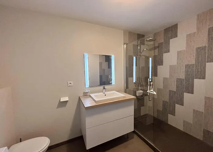 Апартаменты Luxe 4 Pers, Bord De Mer, Balcon, Piscine, Animaux Admis, Parking, Wifi - Fr-1-194-196