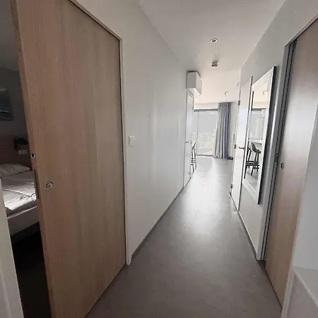 Luxe 4 Pers, Bord De Mer, Balcon, Piscine, Animaux Admis, Parking, Wifi - Fr-1-194-196 公寓